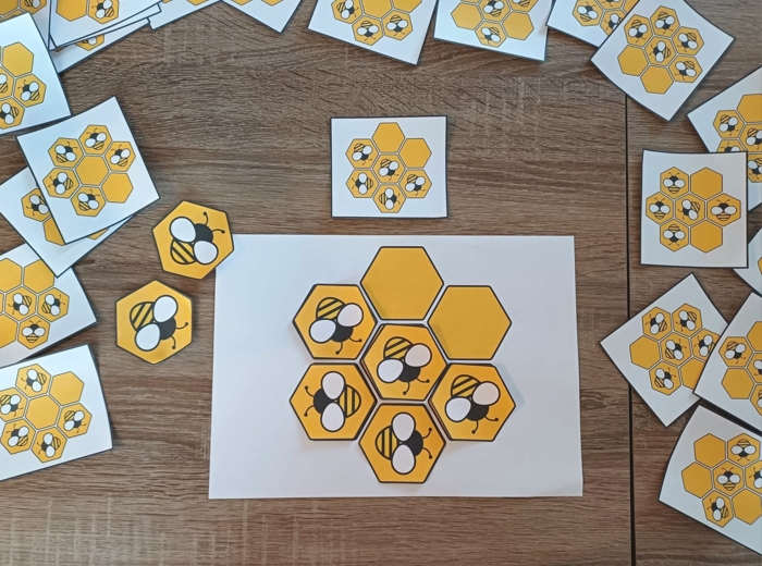 DZIEŃ PSZCZOŁY - ZESTAW