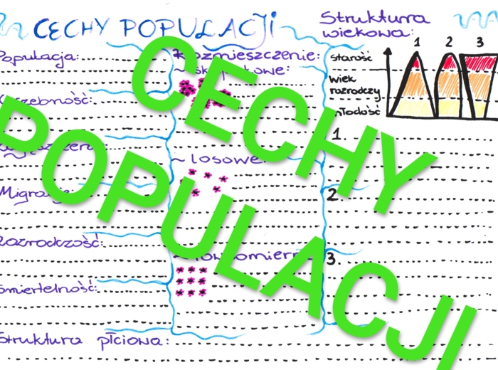 Cechy populacji