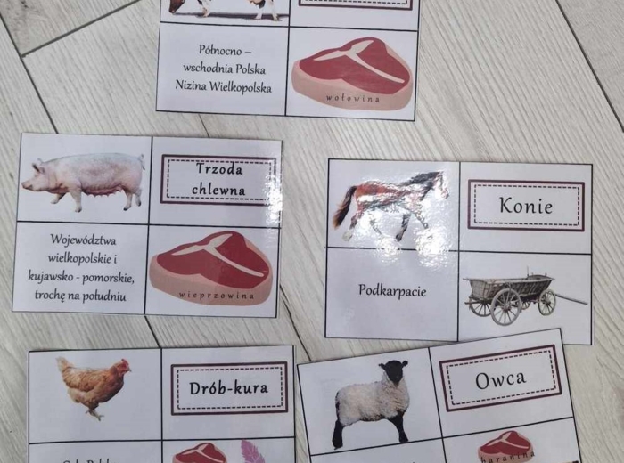 Produkcja zwierzęca w Polsce/do zalaminowana/układanka/puzzle/rozmieszczenie chowu w Polsce/rozpoznawanie gatunków w pdf. „Produkcja zwierzęca”. Geografia 7 "Rolnictwo i przemysł Polski"