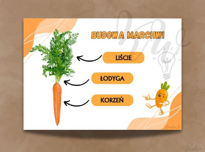 Dzień Marchewki - zestaw