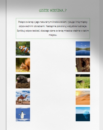 Łamigłówki i kolorowanki. Cykl życia roślin i zwierząt. Elementy krajobrazu. Połącz w pary.