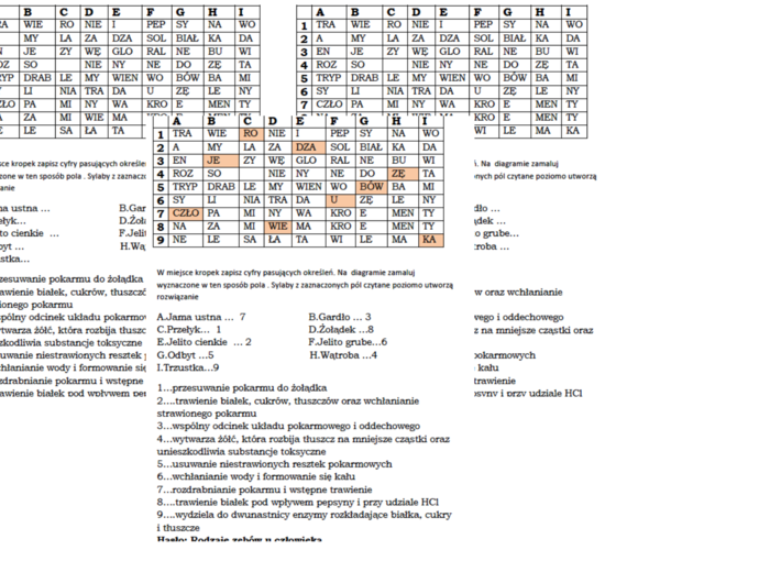 Kodowanka dla klasy 7 na podsumowanie lekcji o budowie układu pokarmowego człowieka