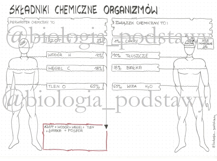 Klasa 5 - Składniki chemiczne organizmów - KP