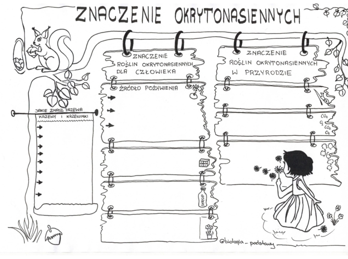 Okrytonasienne - klasa 5 - karta pracy cz.3