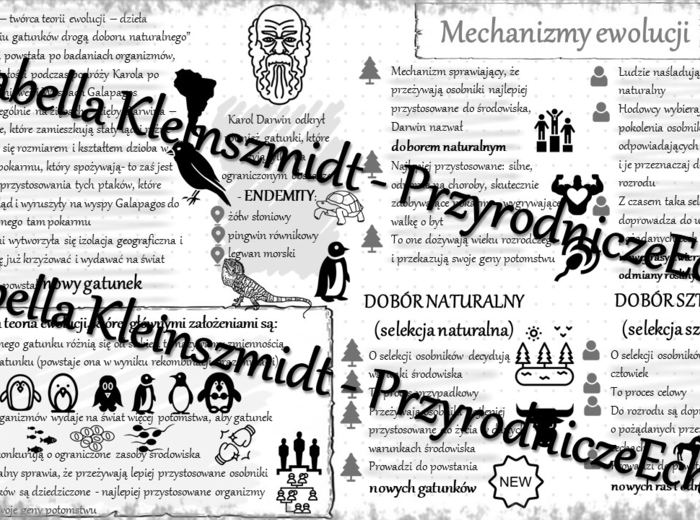 Sketchnotka - notatka „Mechanizmy ewolucji” wykonana w power point do edycji. Biologia 8; „Ewolucja życia”