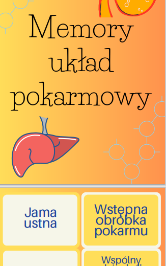 Memory układ pokarmowy