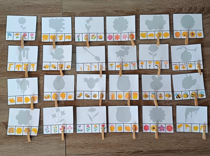 DZIEŃ PSZCZOŁY - ZESTAW