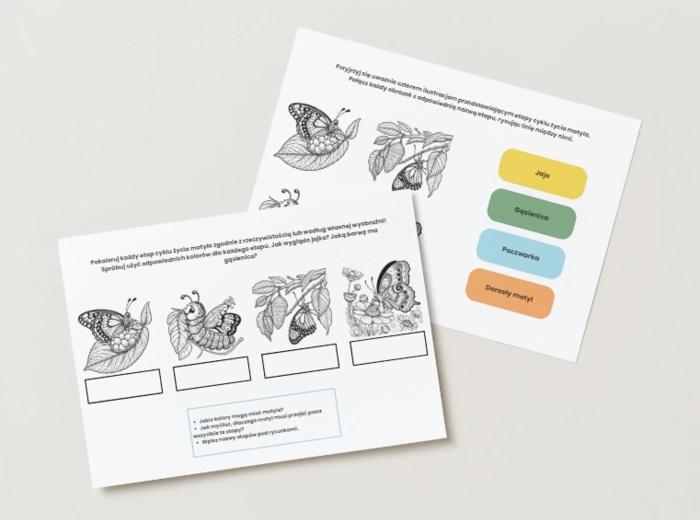 Cykl życia wybranych zwierząt (motyla, żaby, pszczoły)