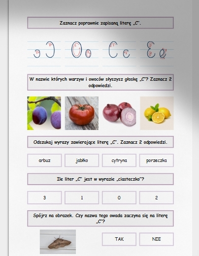C i c. Karta pracy. Sprawdzian