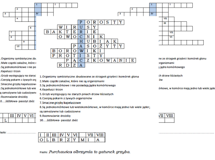 Logogryf na lekcją powtórzeniową dla klasy 5 po dziale Wirusy, bakterie i grzyby