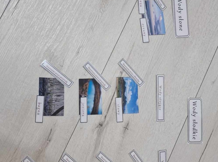 Materiał do zalaminowania/praca w grupach/stacje zadaniowe/układanka/puzzle „Wody słodkie i wody słone” w pdf. Przyroda, dział „Poznajemy krajobraz najbliższej okolicy”.