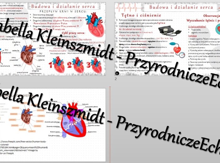 Sketchnotka - notatka „Budowa i działanie serca” wykonana w power point do edycji. Biologia 7; „Układ krążenia”