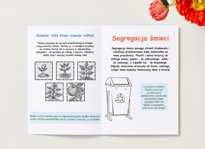 Zwierzęta. Cykl życia rośliny. Segregacja śmieci. Dbanie o przyrodę. KARTA PRACY