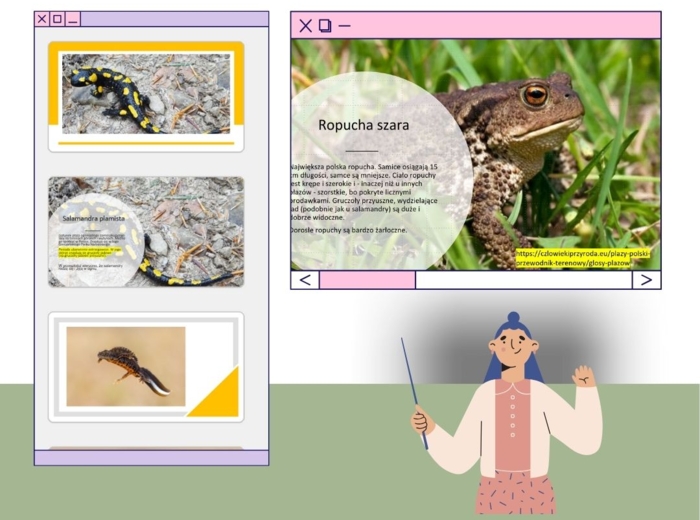 Przegląd i znaczenie płazów - gra zgadnij kto to Z ODGŁOSAMI