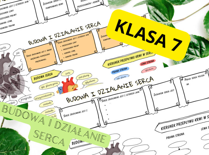 Biologia 7. Budowa i działanie serca