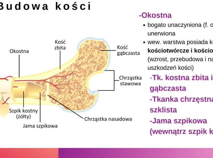 KLASA 3 rozszerzenie - PAKIET NA CAŁY ROK