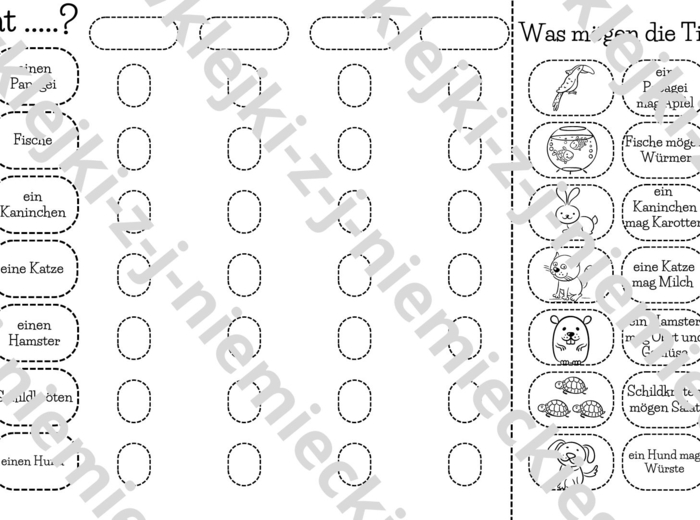 Haustiere - zapytaj kolegę/koleżankę - wklejka - j. niemiecki