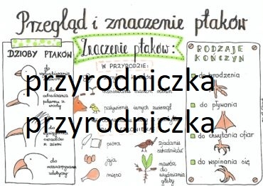 Klasa 6. Biologia. Przegląd i znaczenie ptaków.