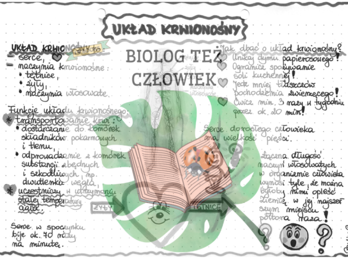 PRZYRODA - Ciało człowieka - Układ krwionośny - szarość