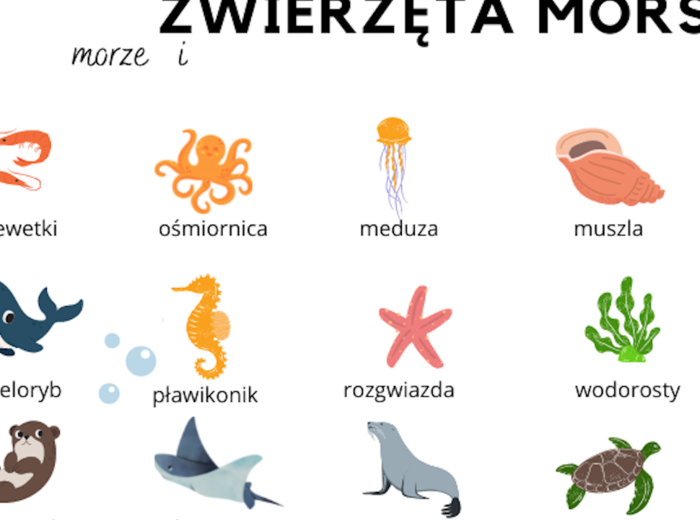 Zwierzęta