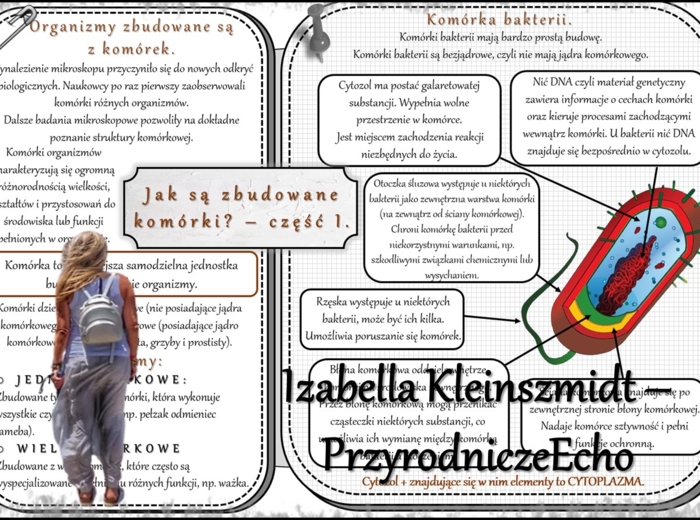 Sketchnotki/notatka/streszczenia/wklejki/ściągi dla ucznia i nauczyciela. Temat „Jak są zbudowane komórki?” w pdf. Biologia 5 dział „Organizacja i chemizacja życia”. Wykonana na podstawie podręcznika z wydawnictwa WSiP.