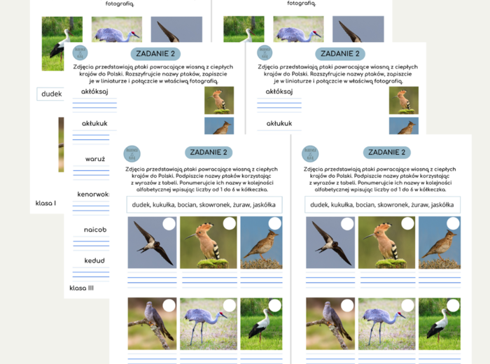 WIOSENNE STACJE ZADANIOWE dla klas 1-3