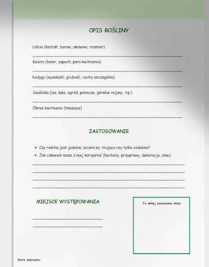 Zielnik klasowy lub szkolny