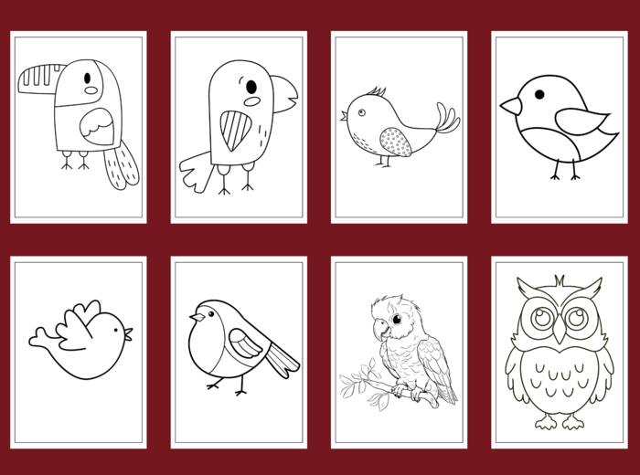 DZIEŃ PTAKÓW – Galeria portretów – kolorowanka – kolorowanki – WIOSNA – biblioteka – świetlica – przedszkole – 49 wersji