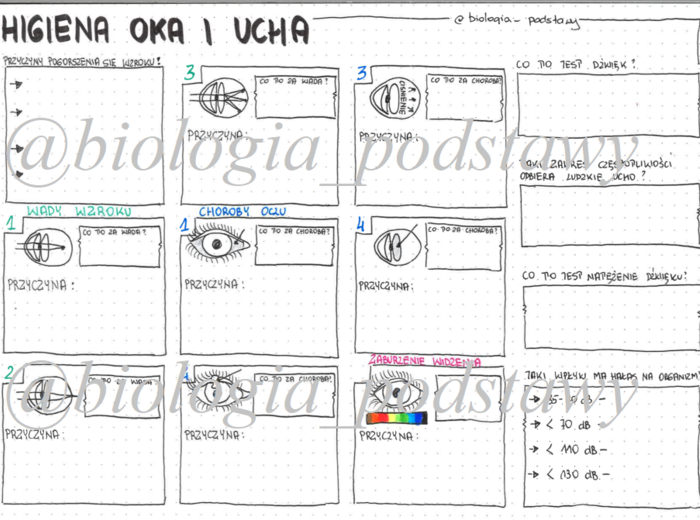 Klasa 7 - Higiena oka i ucha - sketchnotka