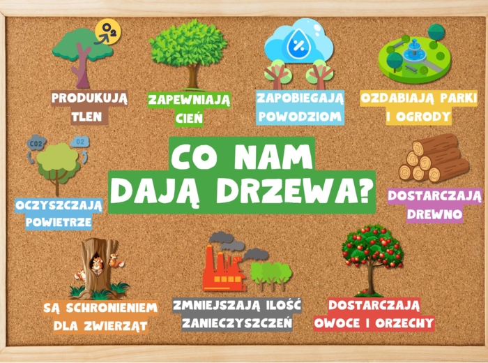 🌳 GAZETKA - CO NAM DAJĄ DRZEWA? 🌳 DZIEŃ DRZEWA 🌳