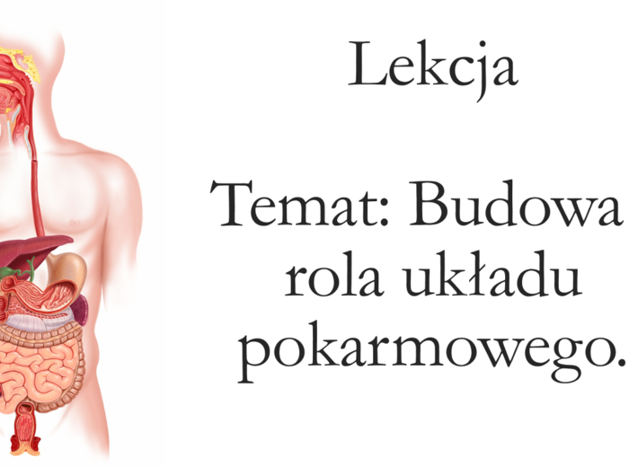 Klasa 7 - Budowa i rola układu pokarmowego - prezentacja