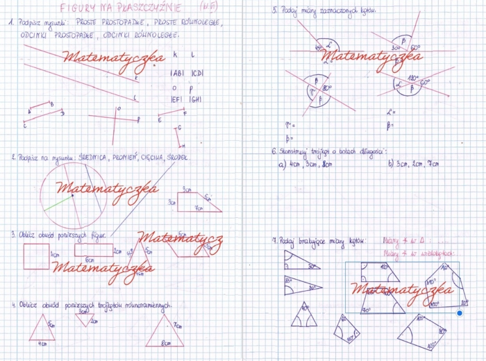 Figury na płaszczyźnie - karty pracy, kartkówka, kl. 6