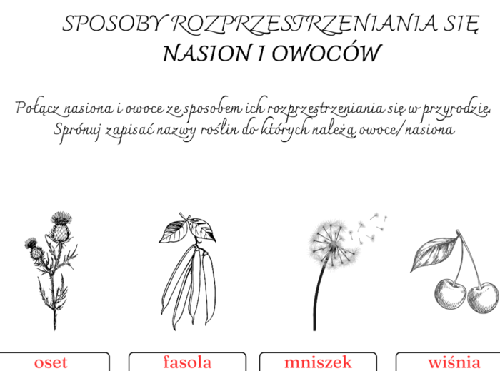 Sposoby rozprzestrzeniania się owoców/nasion