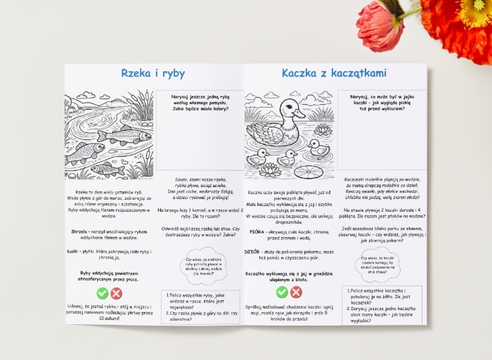 Kolorowanki. Zwierzęta. Rośliny. Drzewa. Las. Łąka. Podstawowe pojęcia (przyroda).