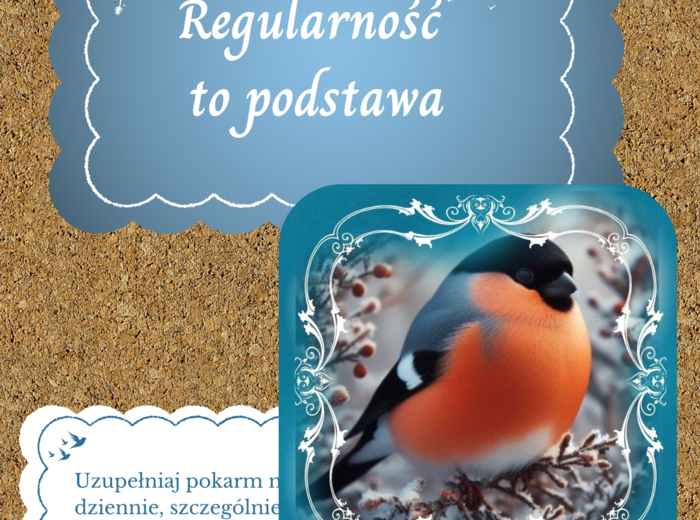 Gazetka o dokarmianiu ptaków zimą w 2 wersjach kolorystycznych.