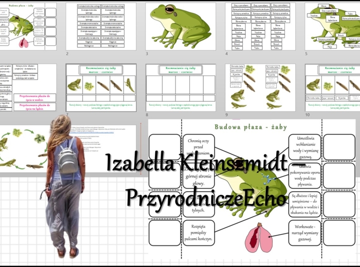 Materiał do zalaminowania/praca w grupach/stacje zadaniowe/układanka/puzzle oraz notatka okienkowa „Budowa żaby”, „Rozwój żaby”. „Płazy - kręgowce środowiska wodno-lądowego” w pdf. Biologia 6, dział „Kręgowce zmiennocieplne”.