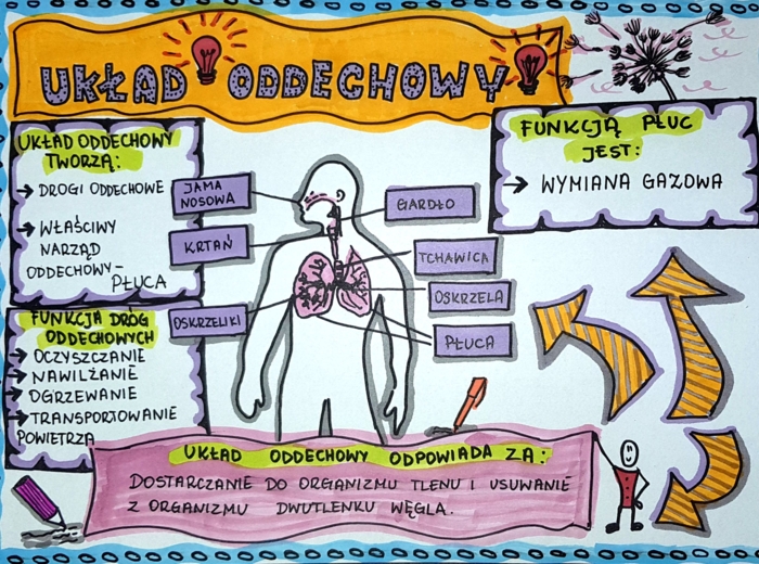 Klasa 4. Przyroda. Karta pracy. Układ oddechowy