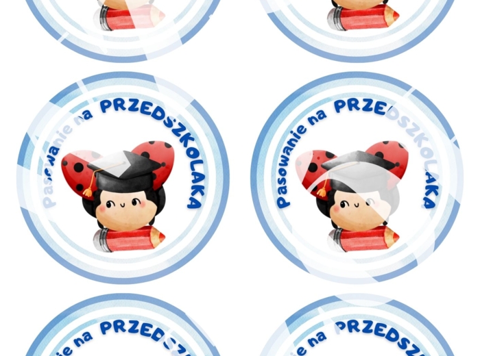 Dyplom pasowania na przedszkolaka - podpisana grupa biedronki