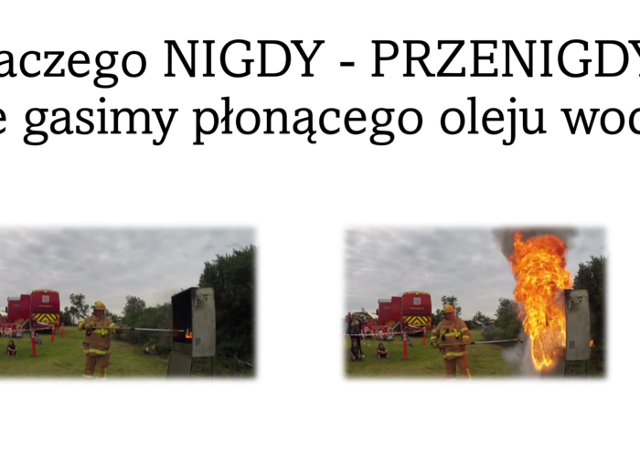 Fiszki na slajdach - BIOLOGIA - Temat: Tłuszcze