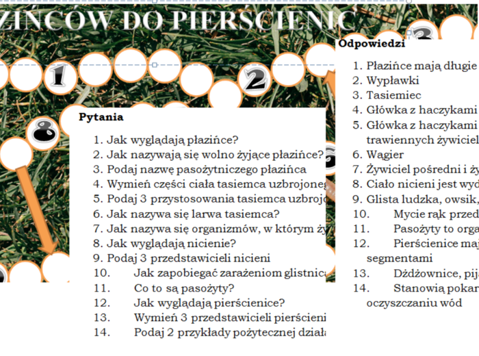Od nicieni do pierścienic- gra planszowa dla klasy 6 szkoły podstawowej