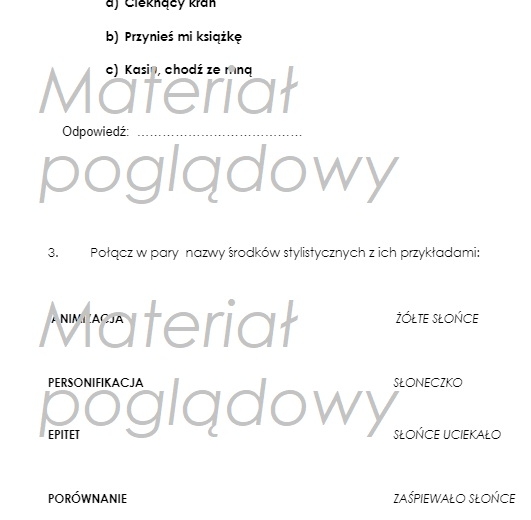Środki stylistyczne - karta kontrolna /test