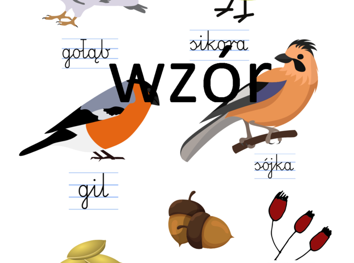 Co jedzą ptaki zimą