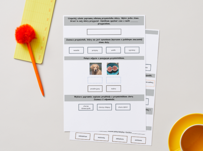 PRZYMIOTNIK I RZECZOWNIK [Karta pracy, sprawdzian]