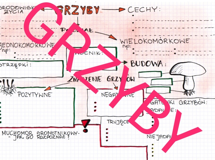 GRZYBY
