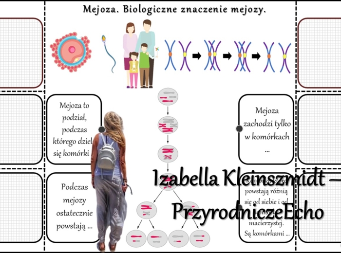 Notatka okienkowa/stacja zadaniowe/notatka/notatka graficzna/karta pracy/sketchnotka „Podziały komórkowe”, „Mitoza i mejoza”, „Znaczenie biologiczne mitozy i mejozy” w pdf. Biologia 8 dział „Genetyka”. Materiał wykonany na podstawie podręcznika z wydawni
