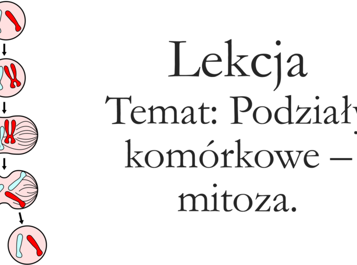 Klasa 8 - Podziały komórkowe - prezentacja