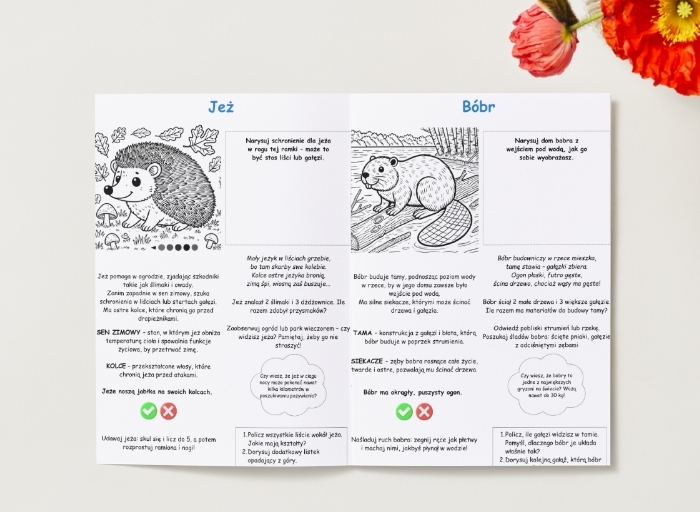 Kolorowanki. Zwierzęta. Rośliny. Drzewa. Las. Łąka. Podstawowe pojęcia (przyroda).