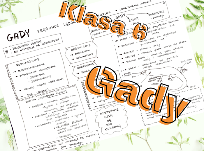 Klasa 6. Biologia. Gady