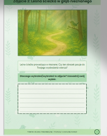 Materiały ilustracyjne – „Które zdjęcie pasuje do wiersza?”. Zdjęcia lasów/ścieżki