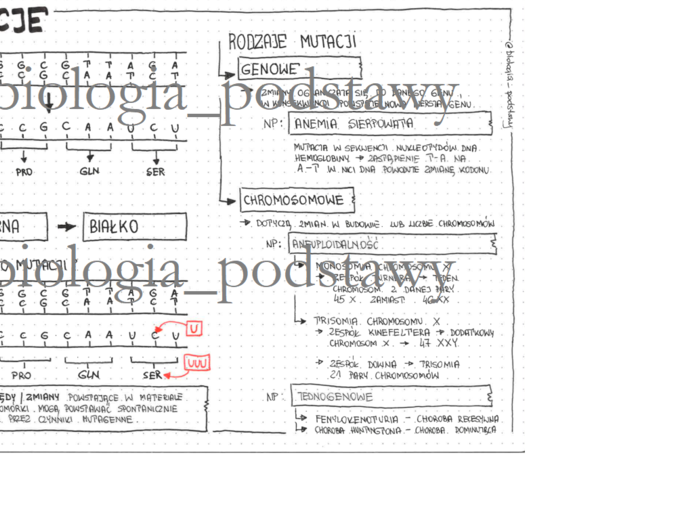 Klasa 8 - Mutacje - sketchnotka